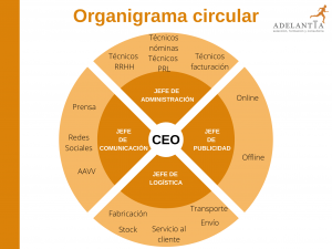 organigrama circular empresa recursos humanos productividad talento consultoría rrhh adelantta